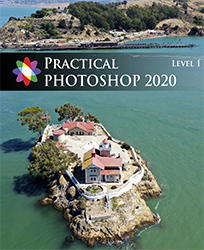 Practical Photoshop 2020, Level 1